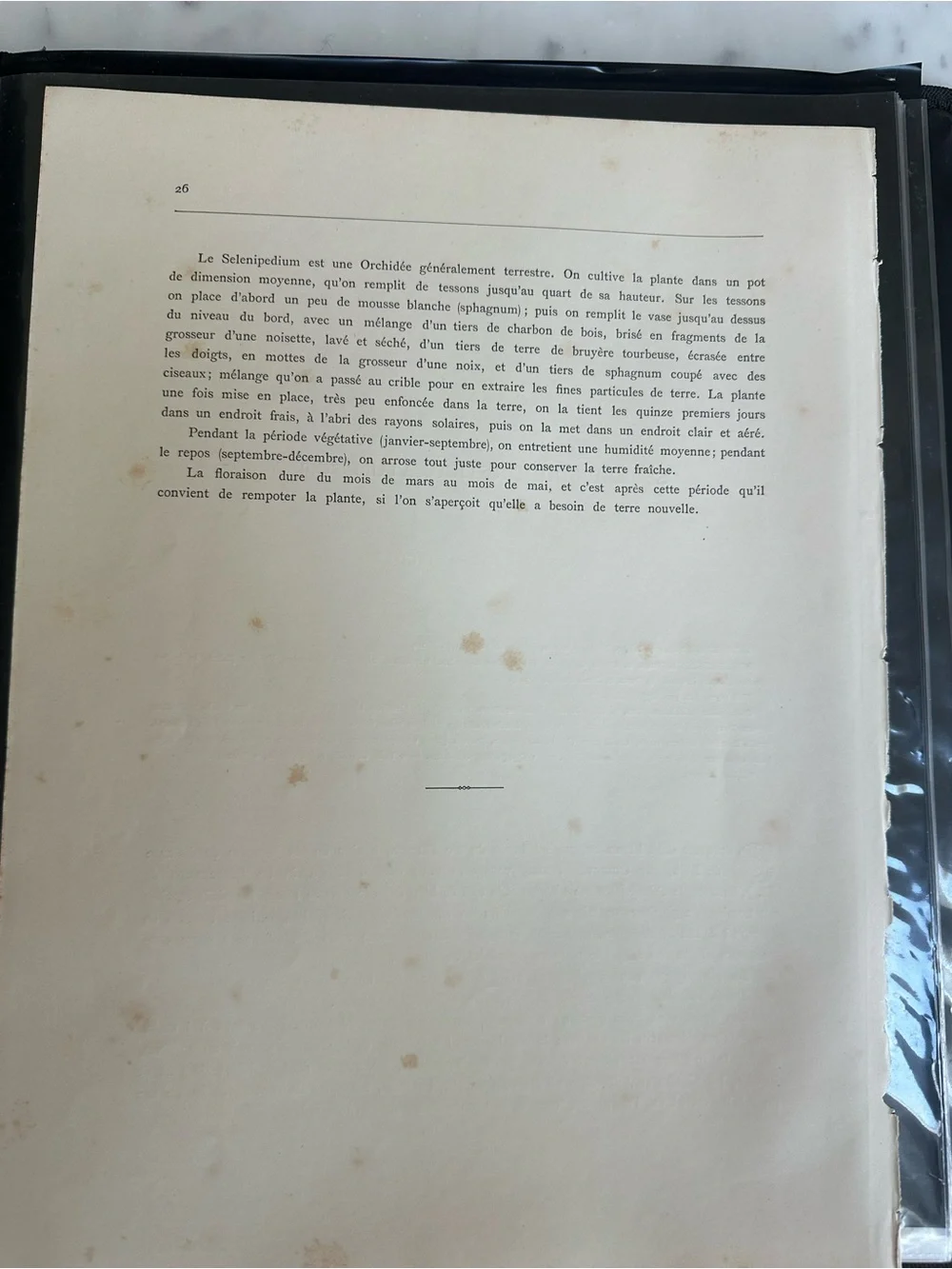 1885 Lindenia Iconographie des Orchidées, a legendary